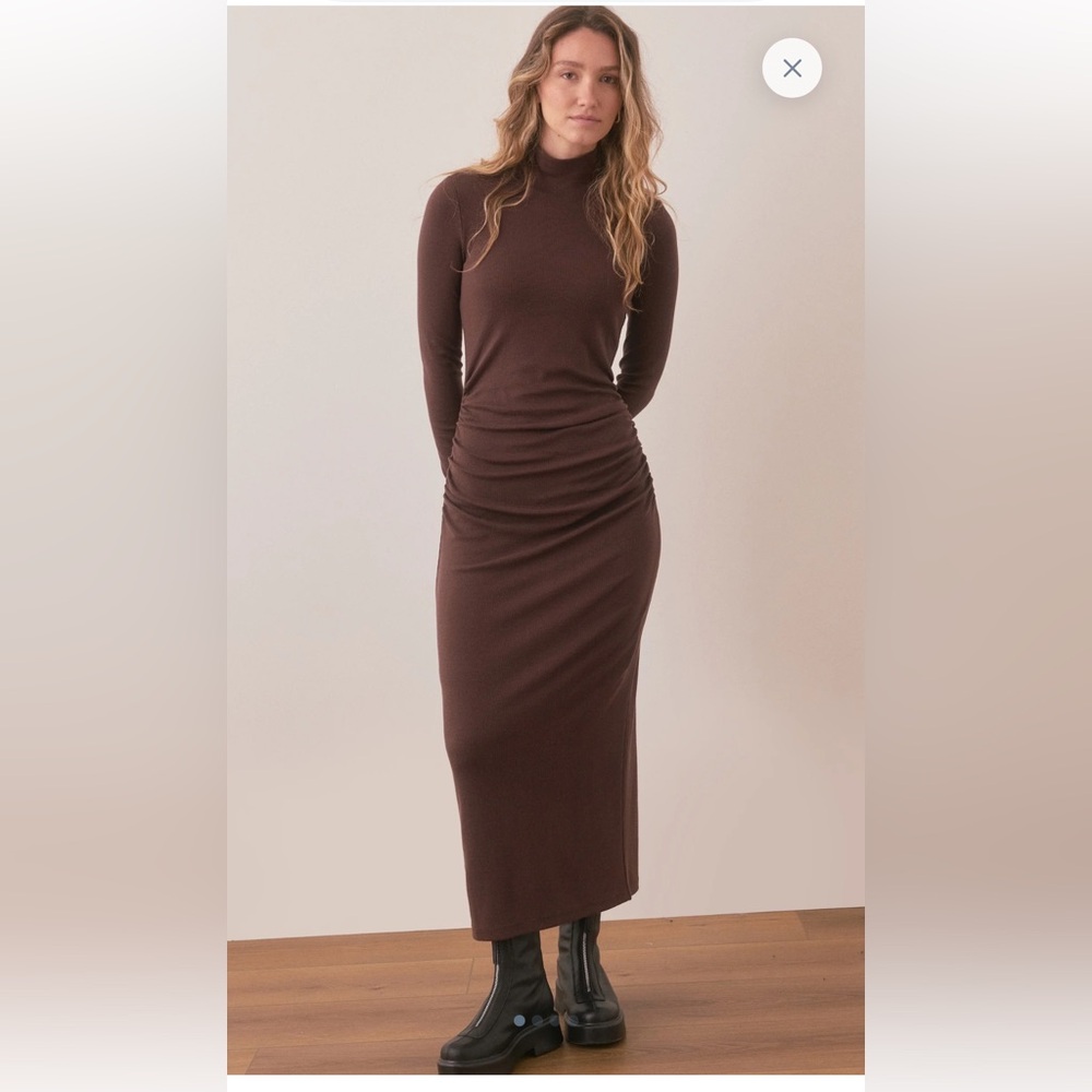 Lexi Rib Ruched Turtleneck Dress